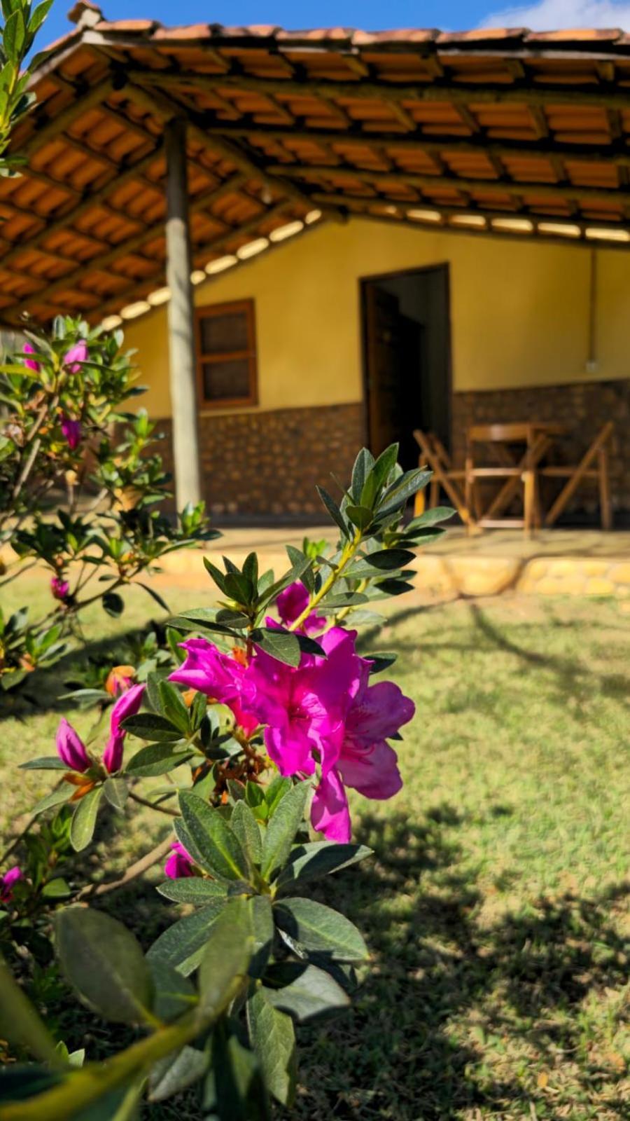 Pousada Velho Chico Vargem Bonita Buitenkant foto